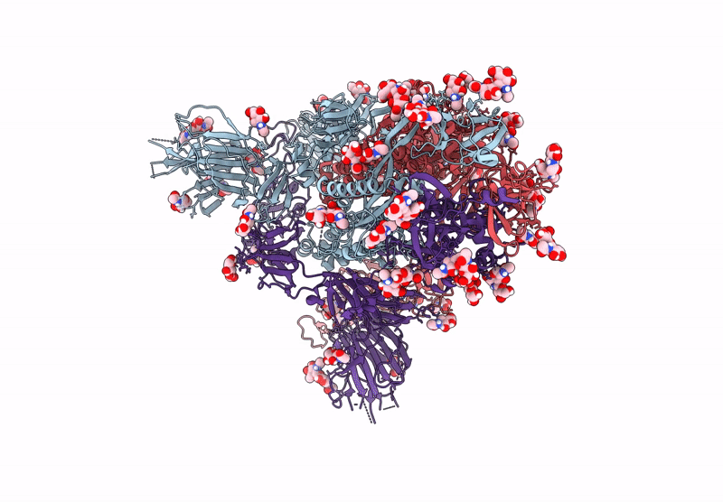 9IB2 image