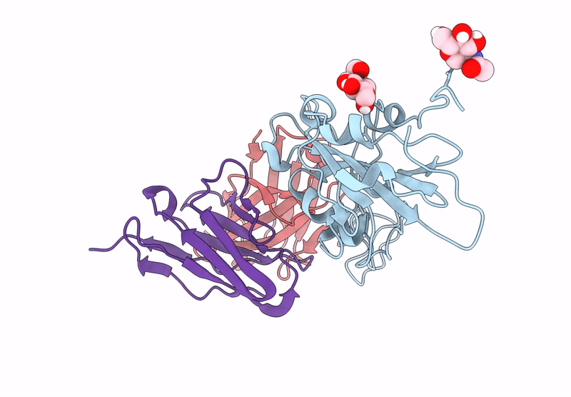 9IB3 image