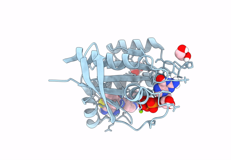 9IB4 image