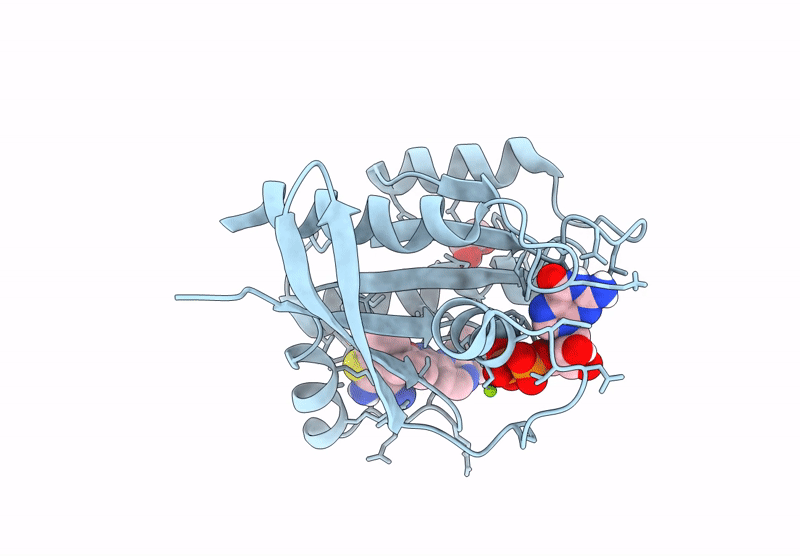 9IB5 image