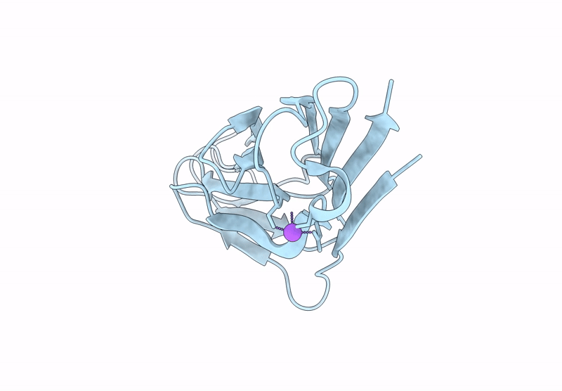 9IB6 image