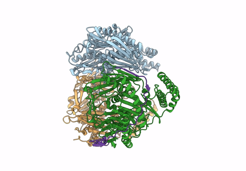9IBH image