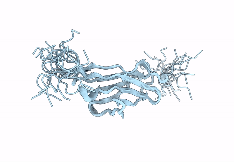 9IBI image