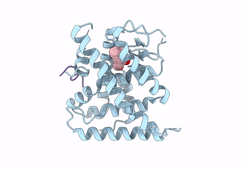 9IBR image