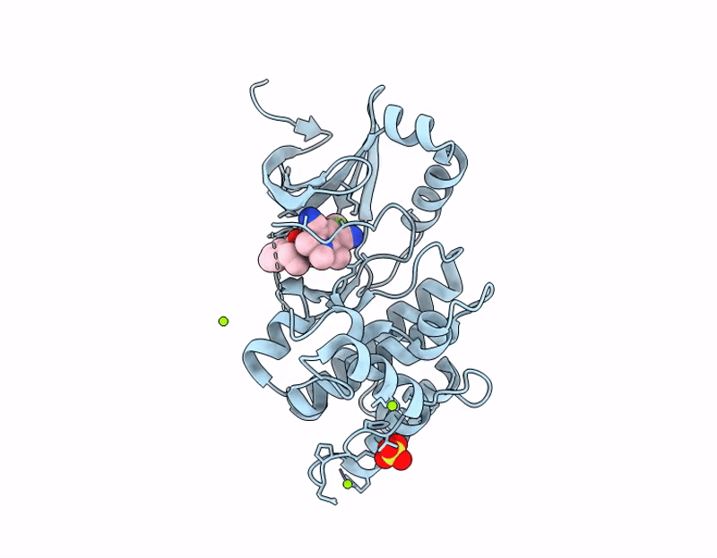 9IC2 image