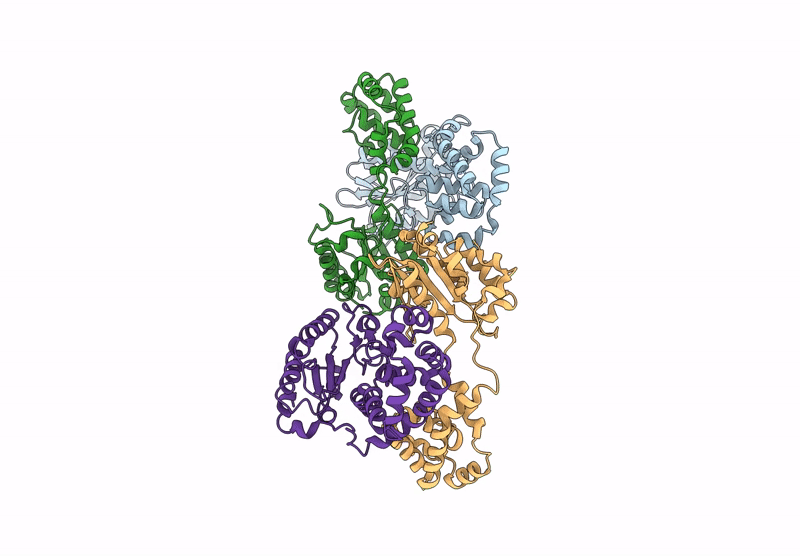 9IC8 image