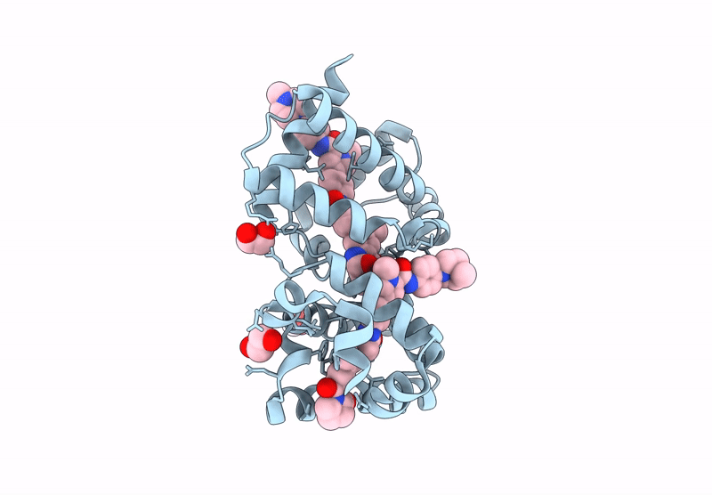 9IC9 image