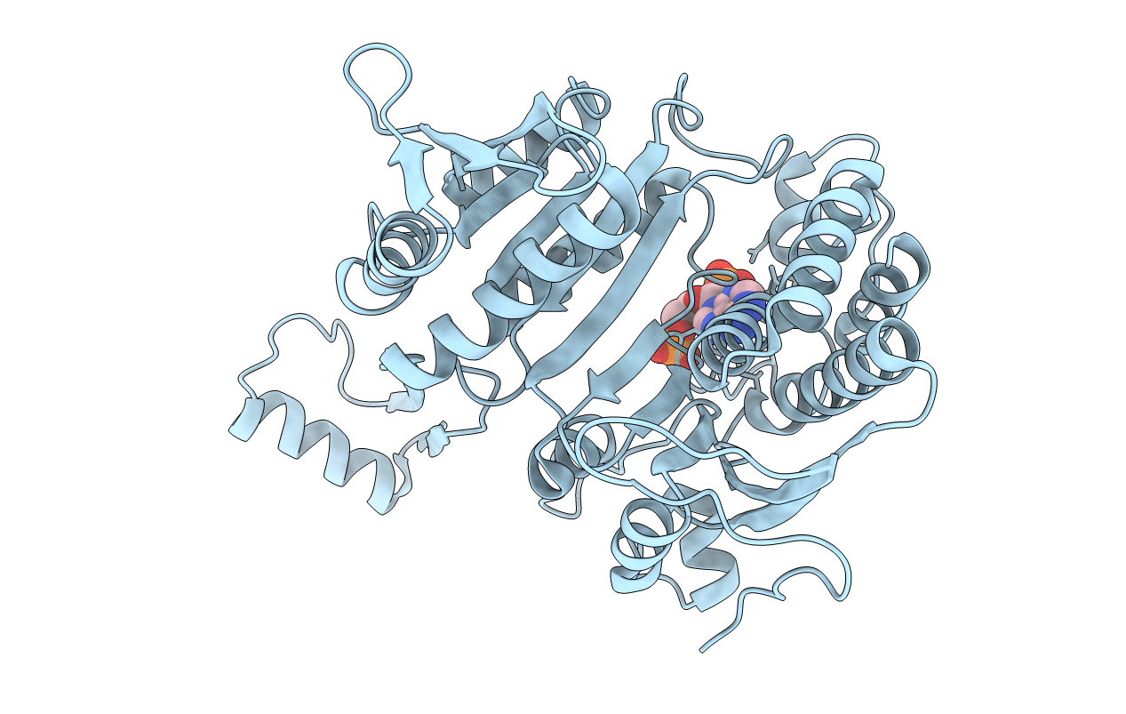 9ICD image