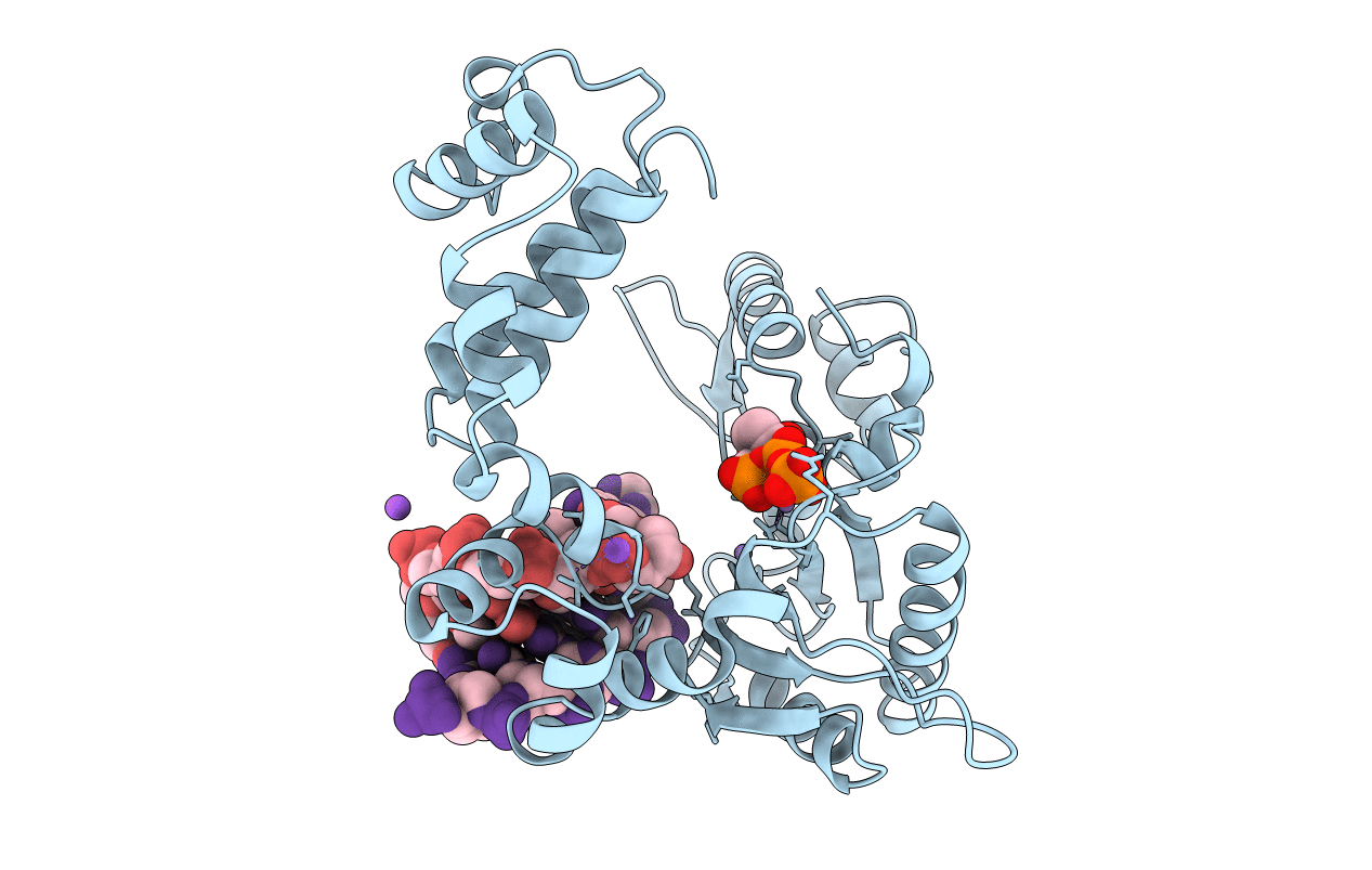 9ICR image
