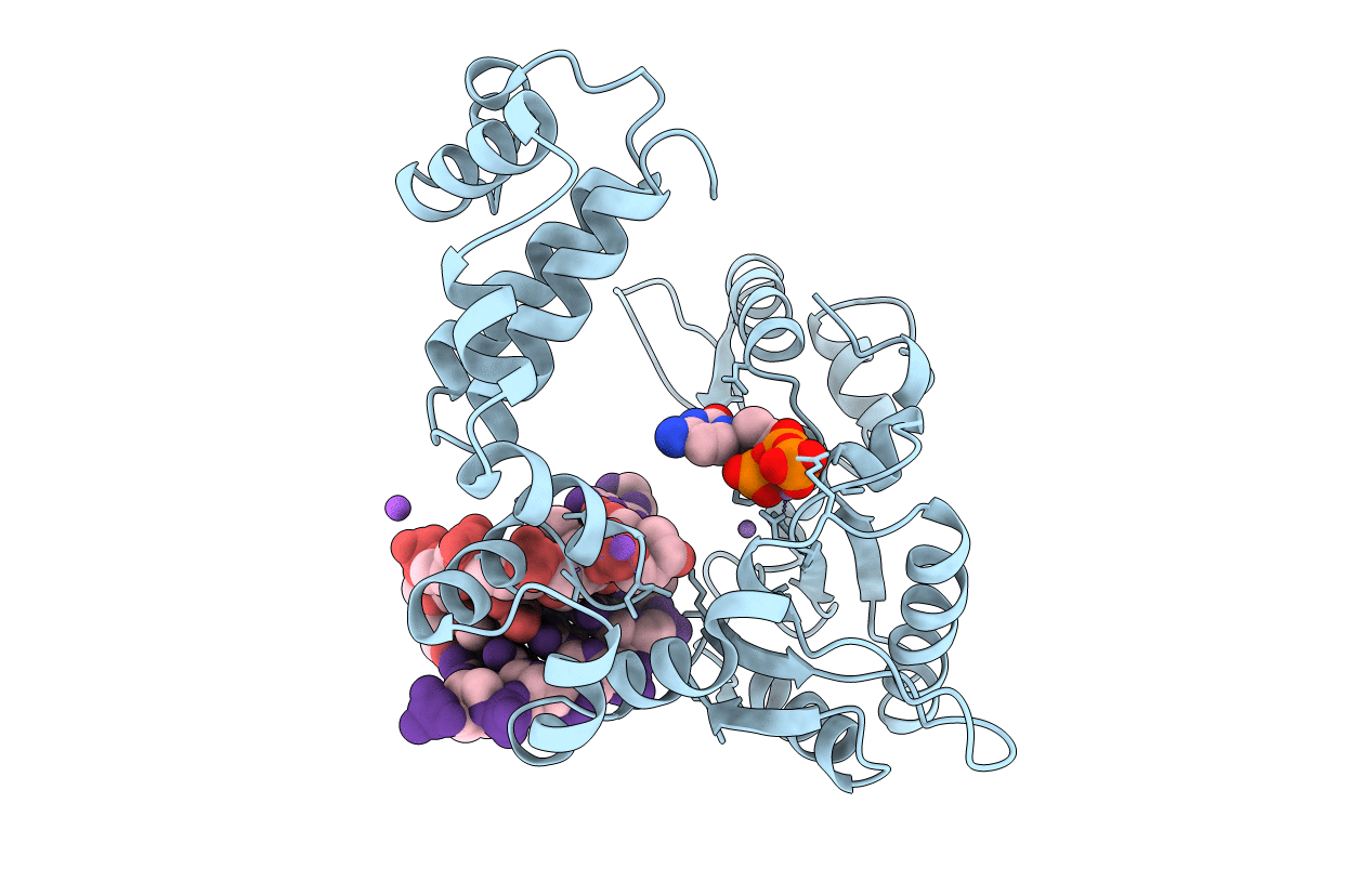 9ICS image