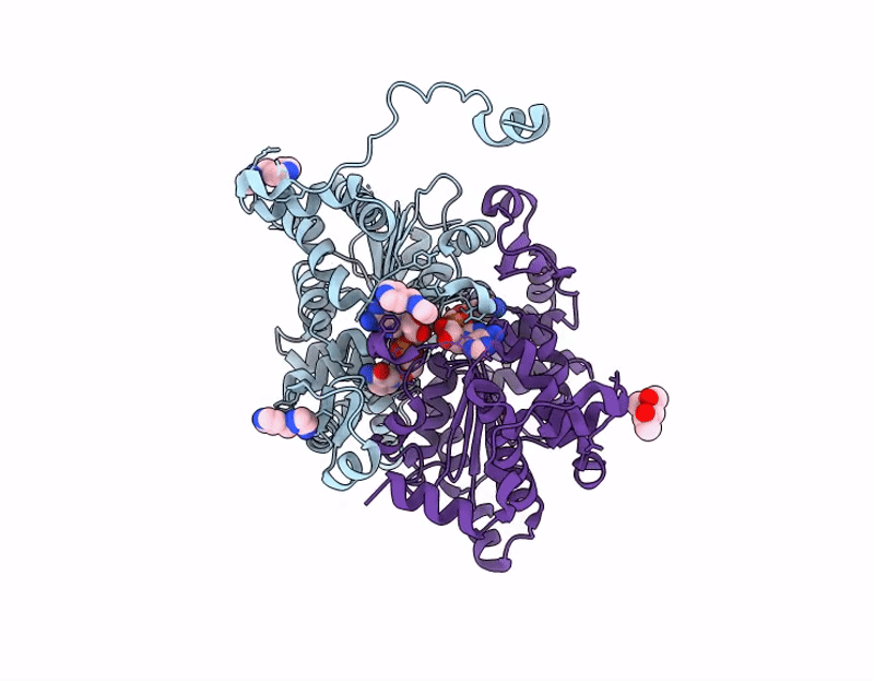 9ID6 image