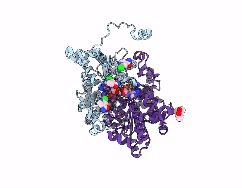 9IE2 image