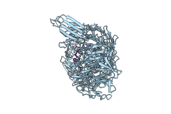 9IFO image