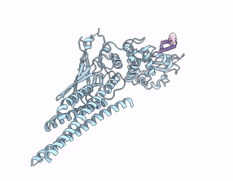 9IFX image