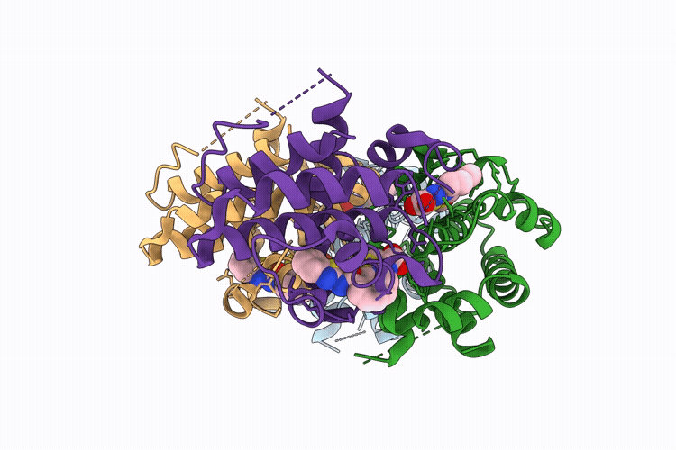 9IGB image
