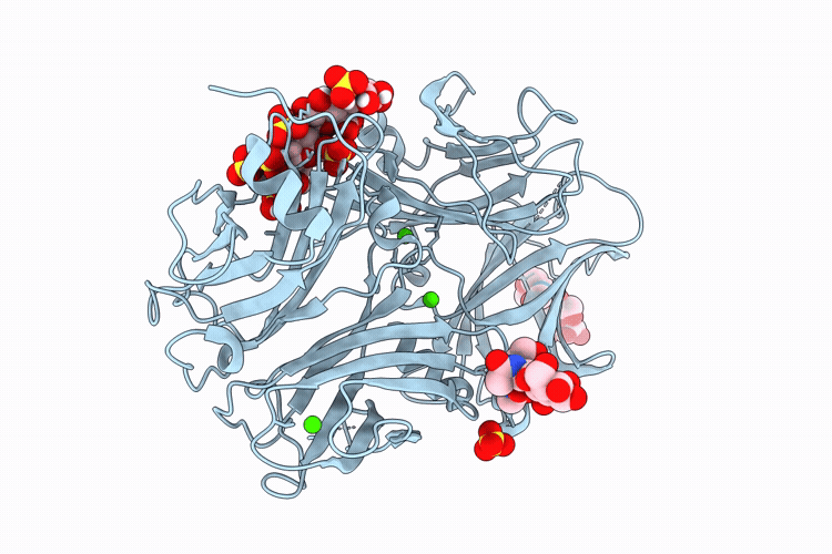 9IGM image
