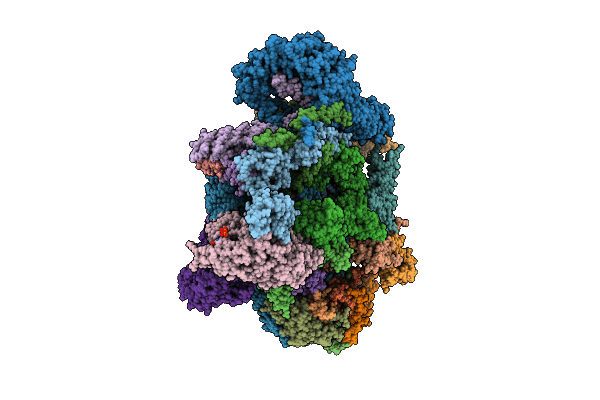 9IGU image