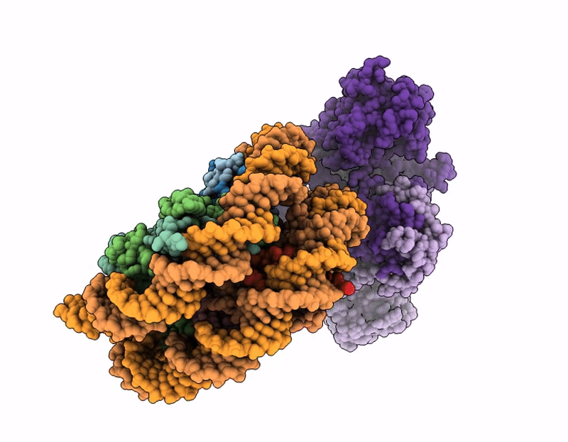 9IGW image