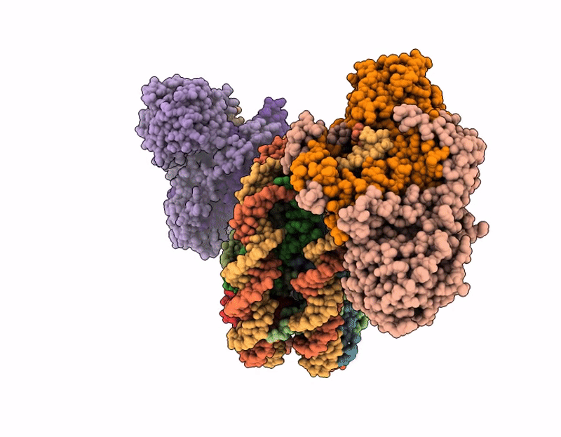 9IGX image