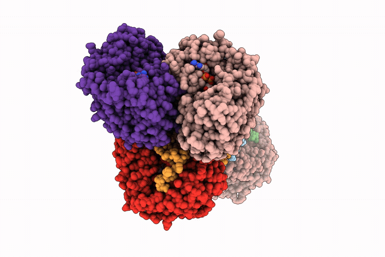 9IHB image