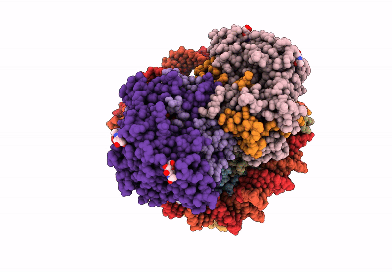 9IHF image