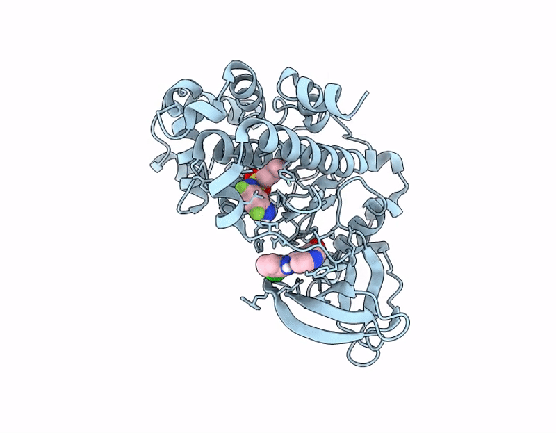 9IHI image