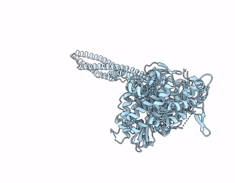 9IHL image