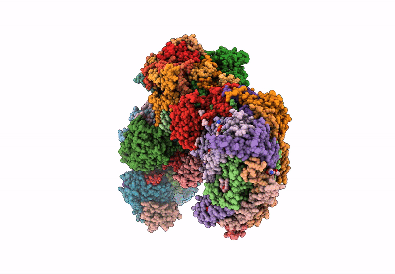 9IHP image
