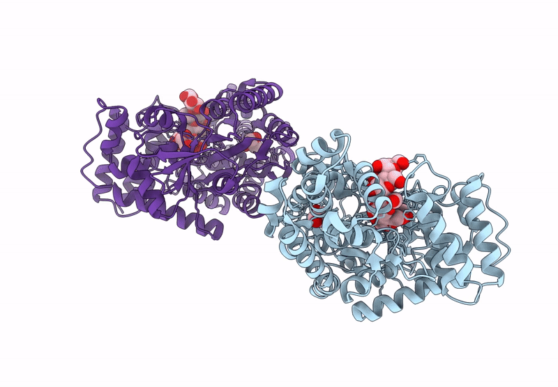 9IHV image