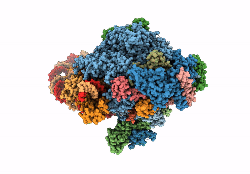 9II7 image