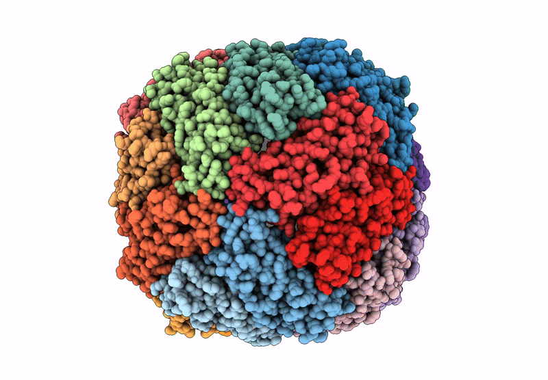 9IIG image