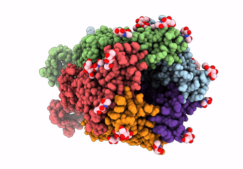 9IIV image