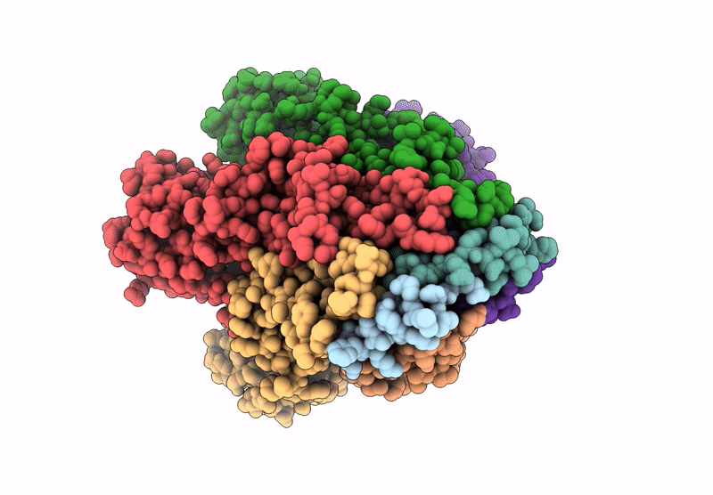 9IJM image