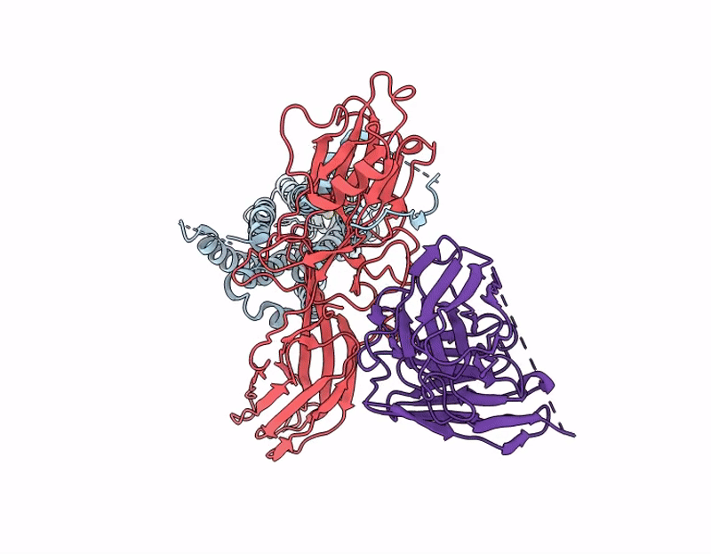 9IJR image