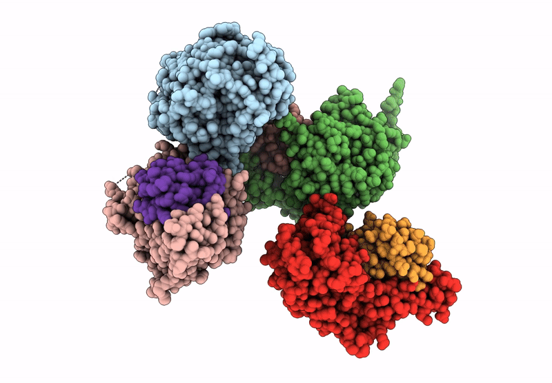 9IJU image