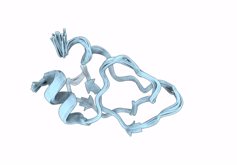 9IJW image