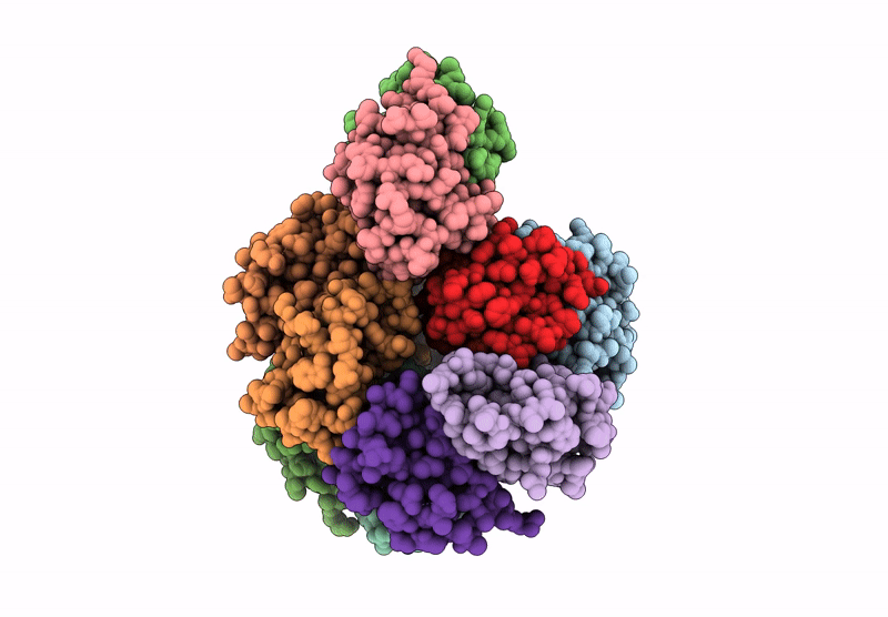 9IKD image
