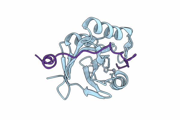 9ILD image