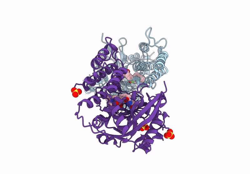 9ILN image