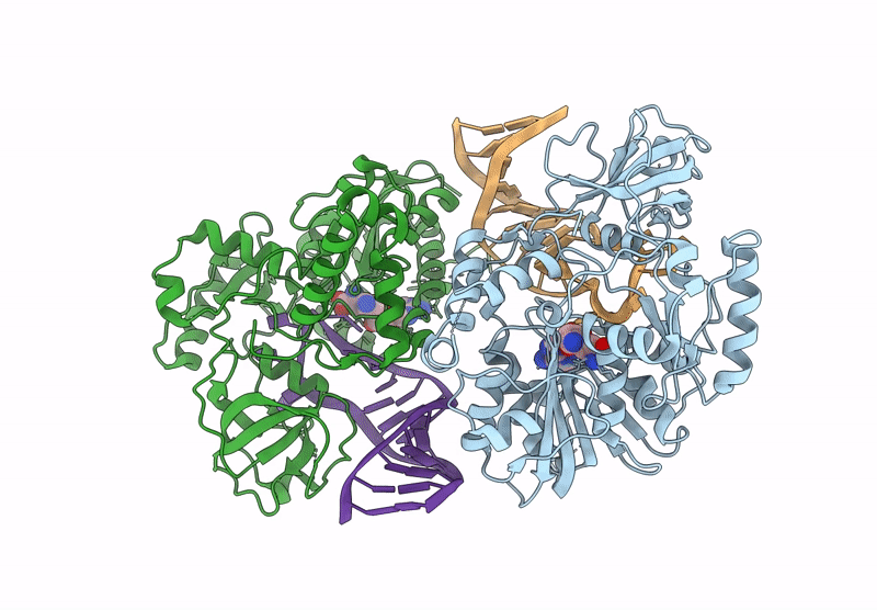 9IMB image