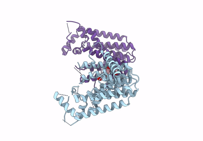 9IMS image