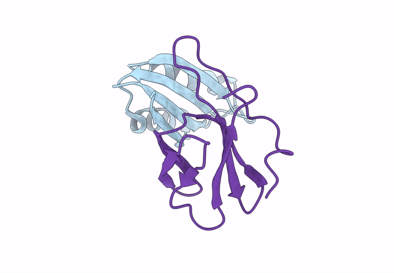 9IMU image