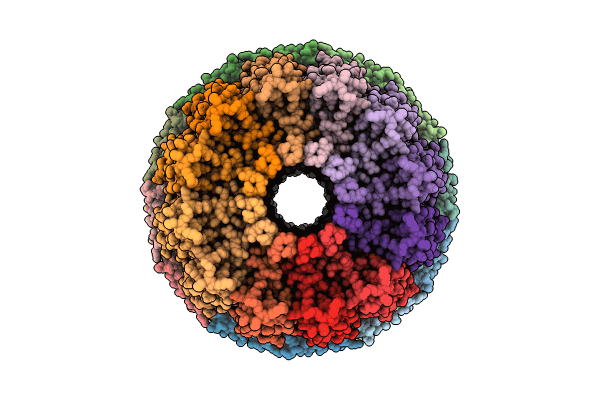 9IMV image