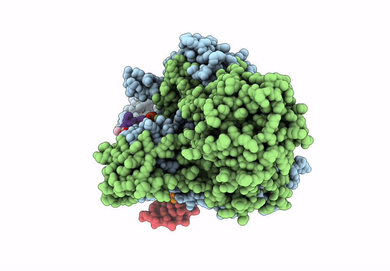 9IOL image