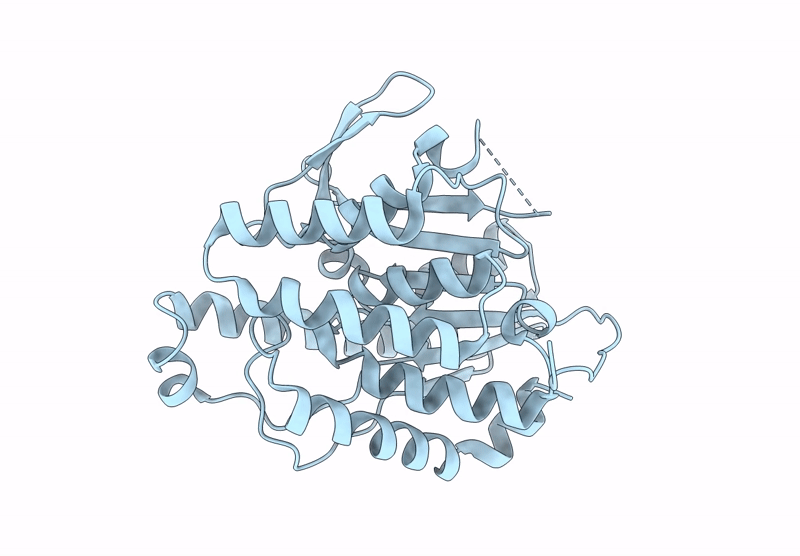 9IOM image