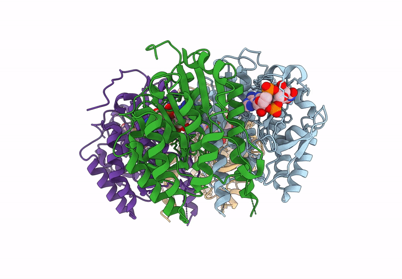 9ION image