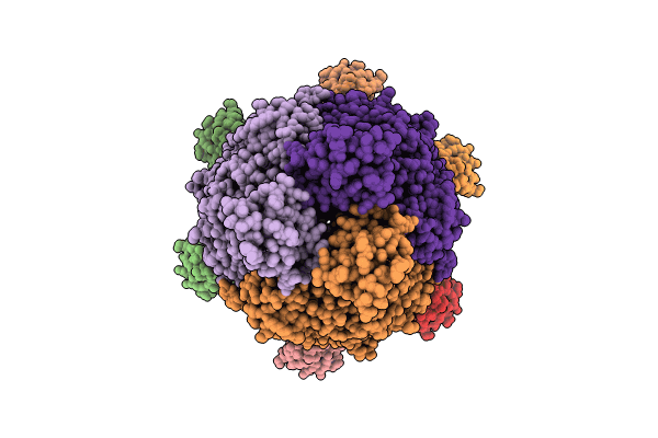 9IOZ image