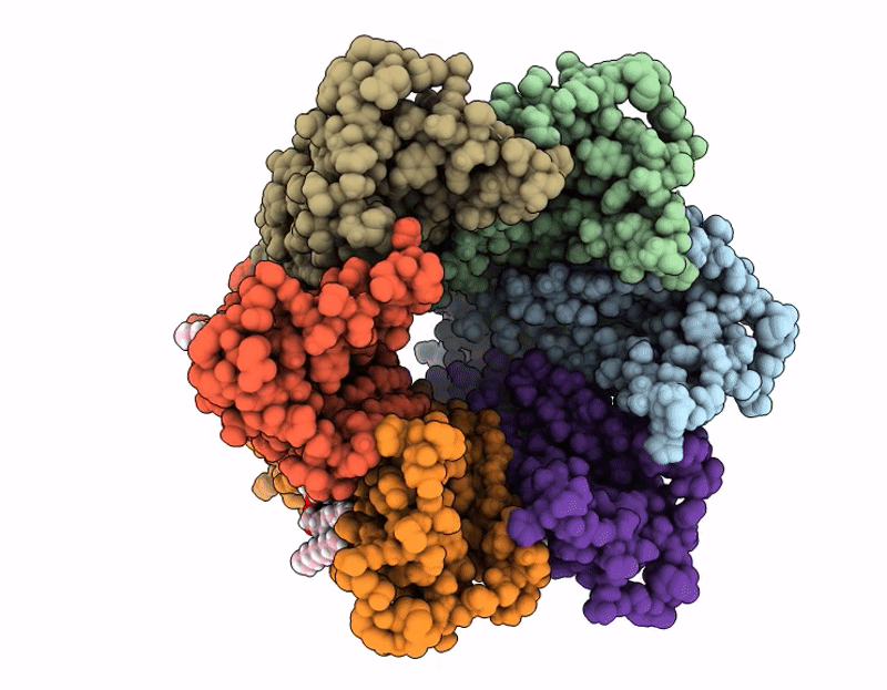 9IPN image