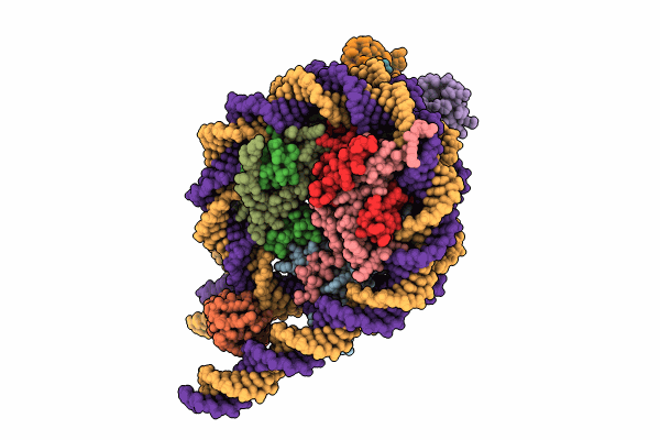9IPU image
