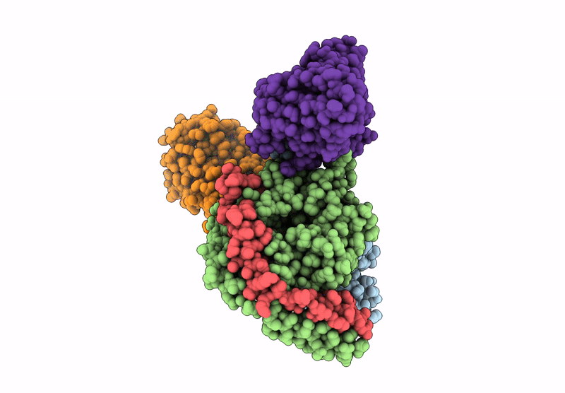 9IPV image